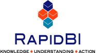 RapidBI logo - diagnostic outputs